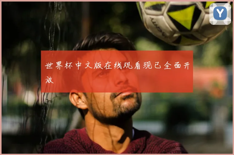 世界杯中文版在线观看现已全面开放